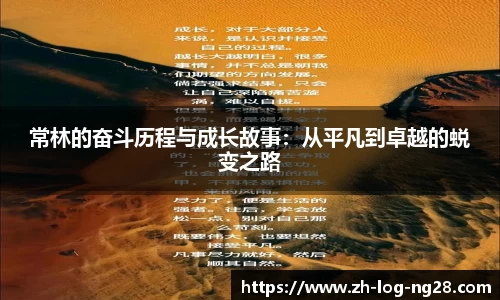 NG28娱乐平台