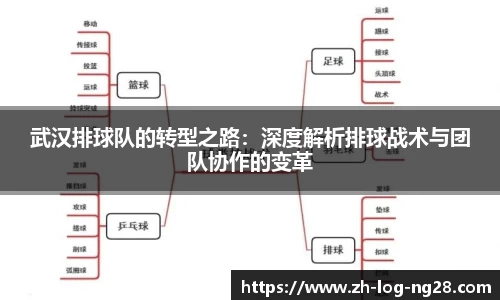 NG28娱乐平台